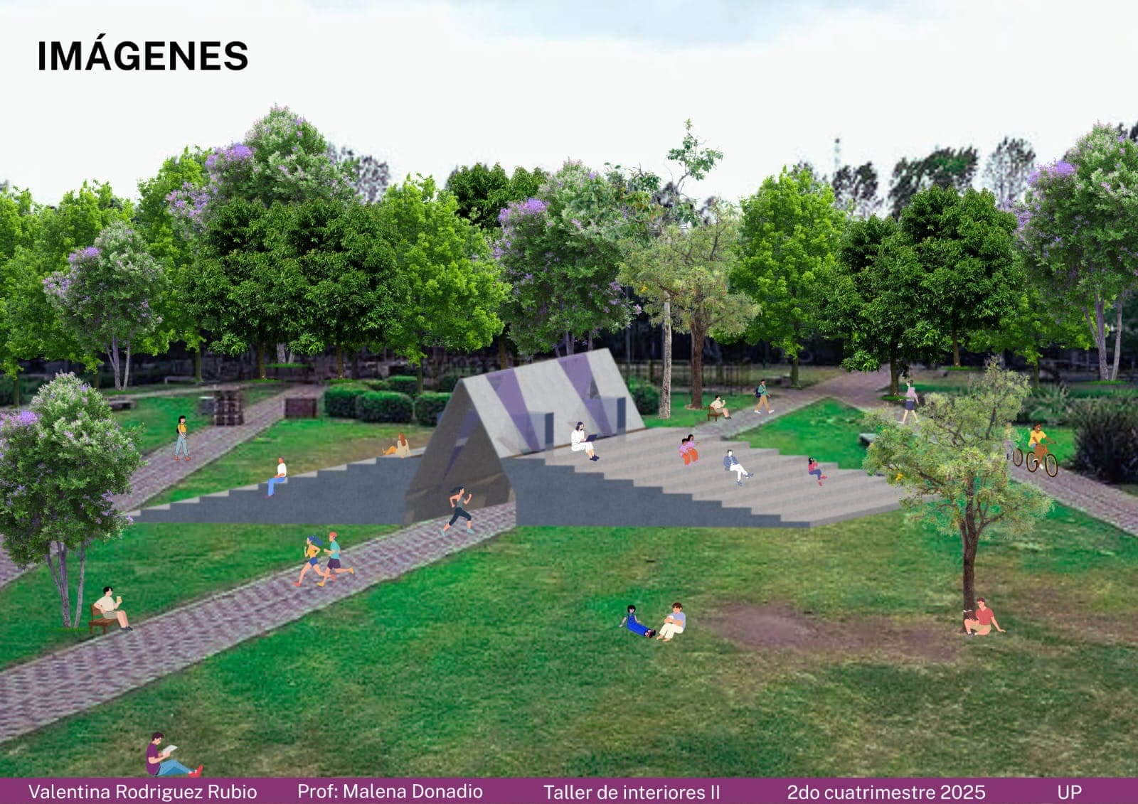 Culinary Elegance - imagen 1